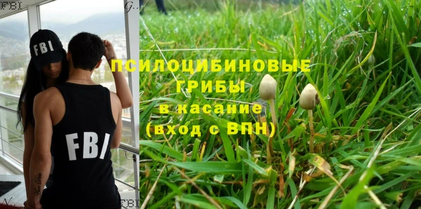 гидропоника Абаза