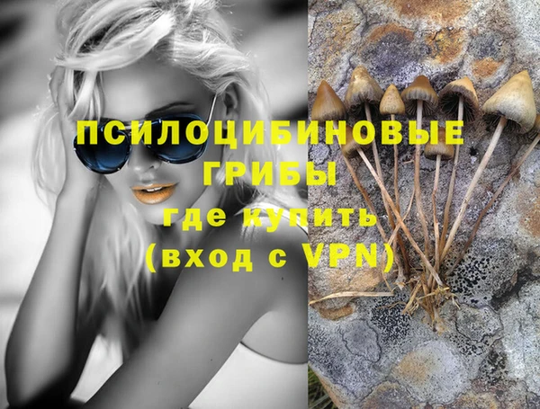 гидропоника Абаза