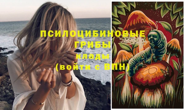 гидропоника Абаза